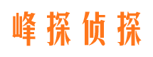 海港外遇取证